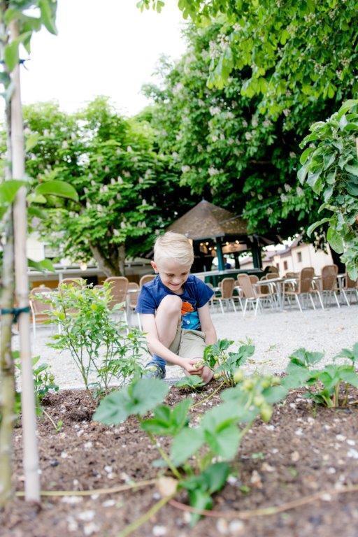 Fruhstuckspension Scharinger Hof Gilgenberg am Weilhart Eksteriør billede